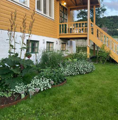 Blomsterbed på Sommerhotellet i Vang i Valdres